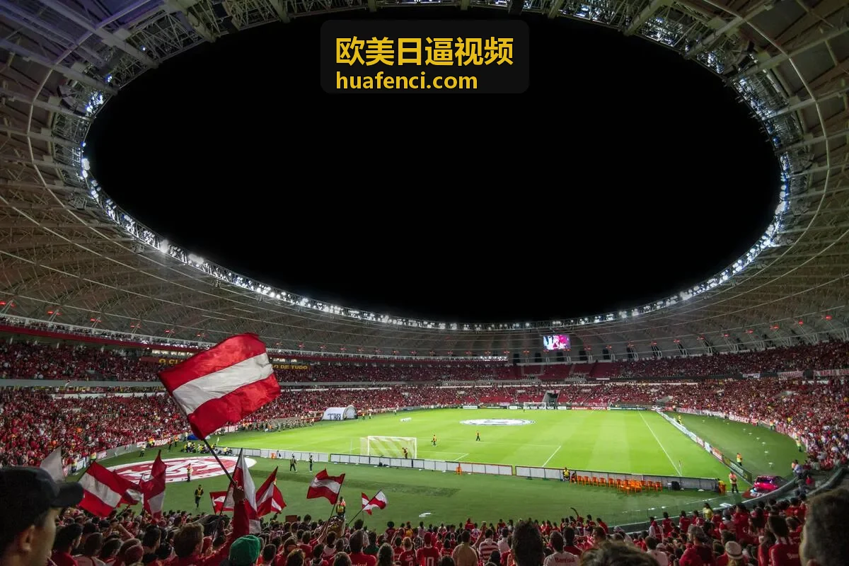 欧美日逼视频近期高清更新内容封面
