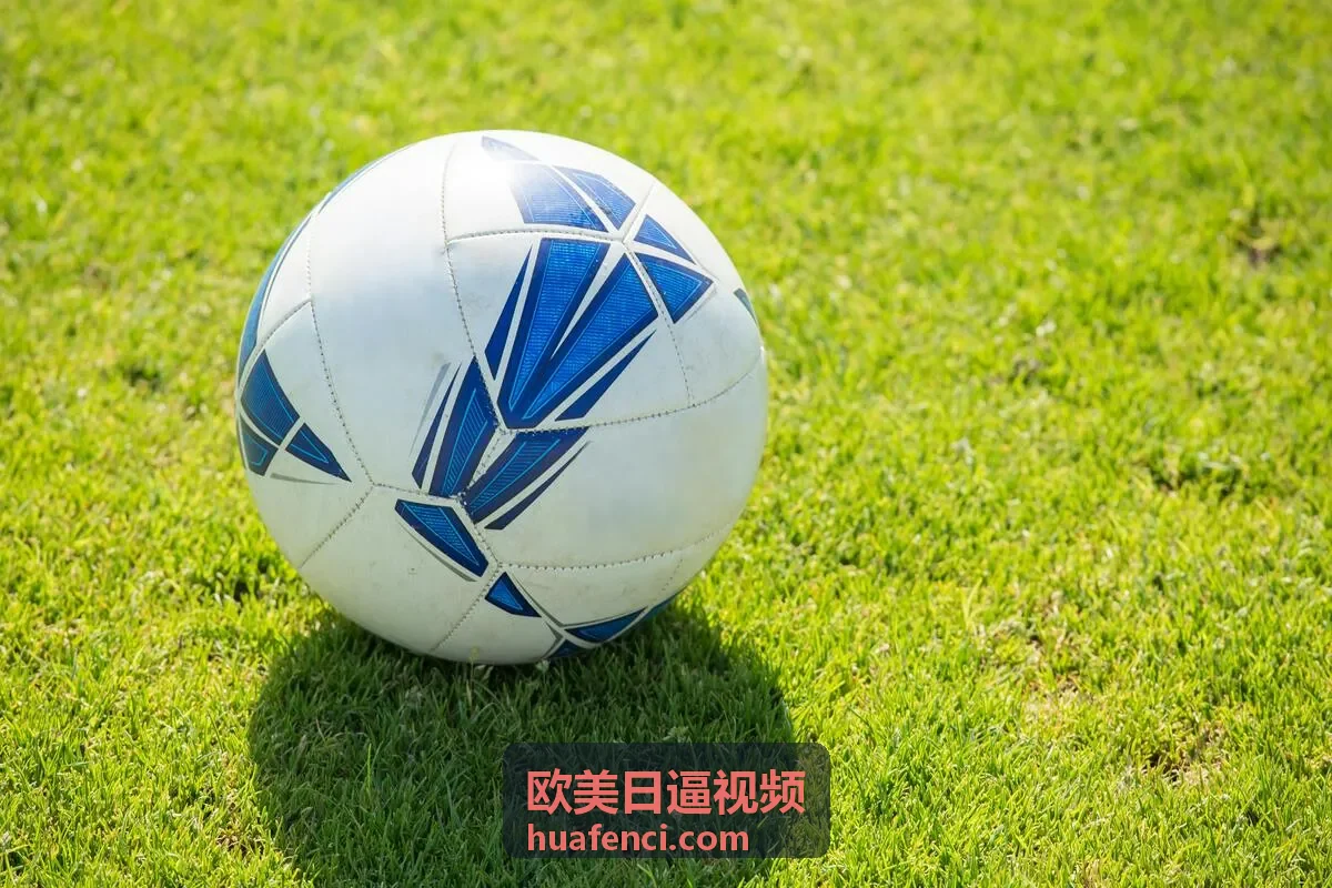 欧美日逼视频更新榜单封面